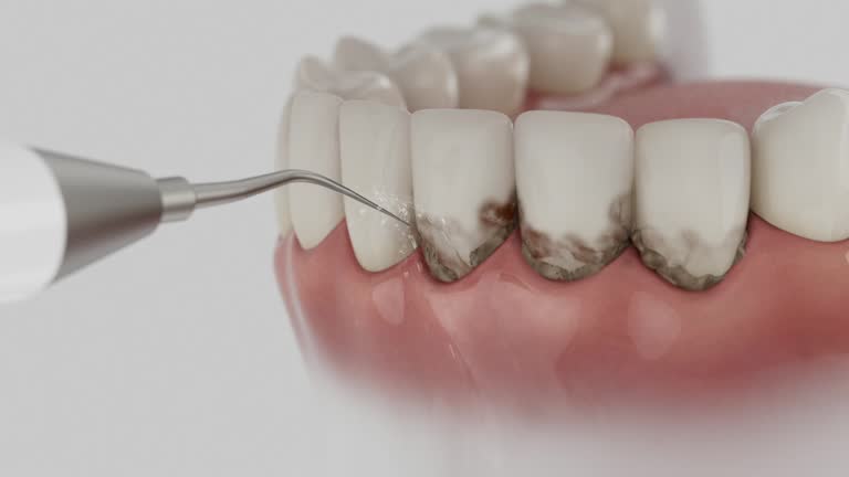 Reliable Dental contractor in Versailles, KY by Dentist Open Now